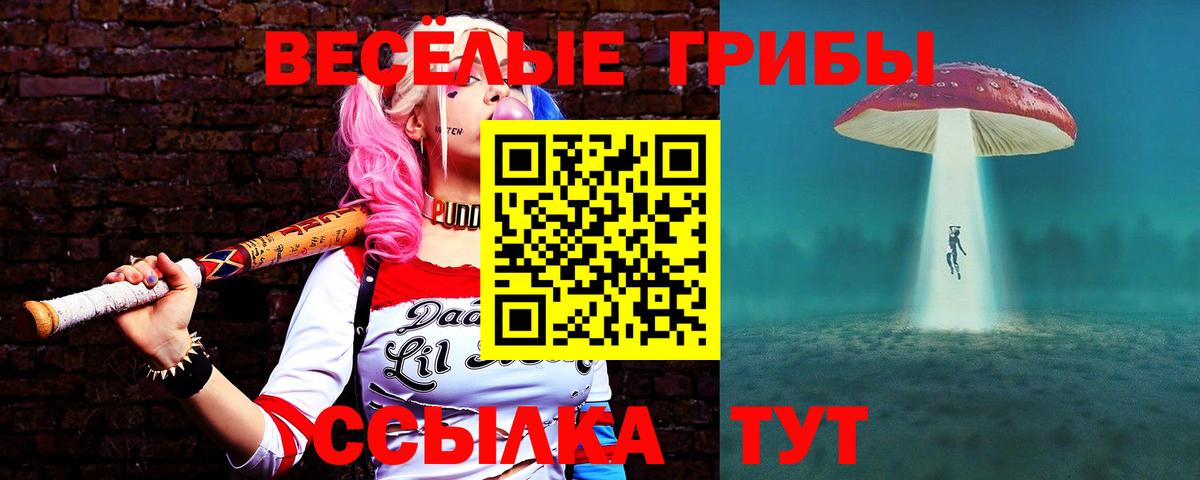 Чистополь  Галлюциногенные грибы Psilocybine cubensis  Вход с VPN 